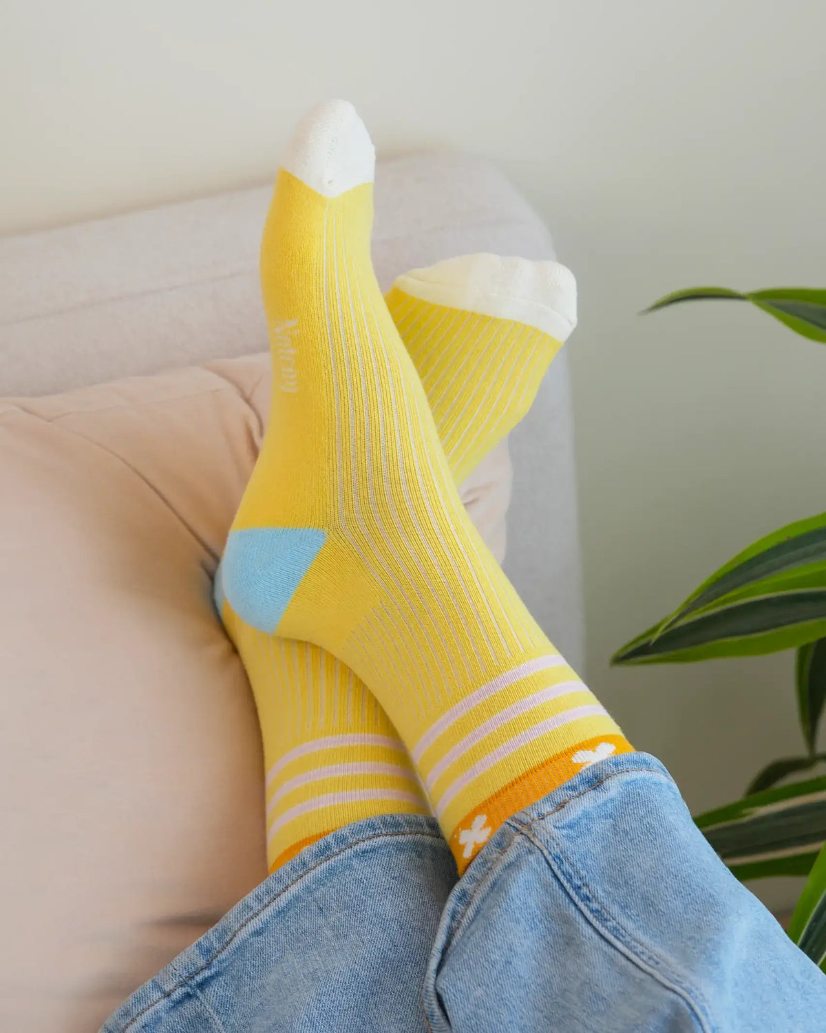 Socks, Set of 3 - Lime Ocean