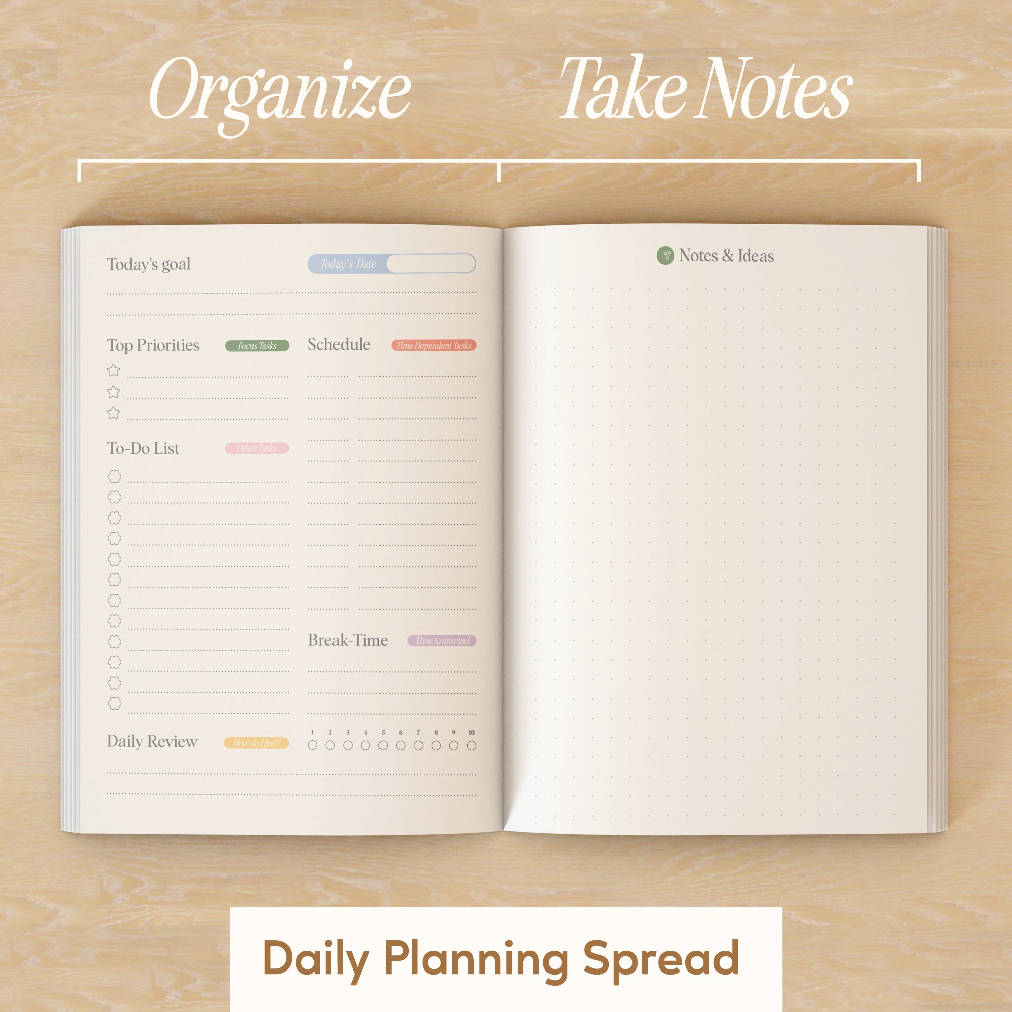 Daily Planner | Teacake