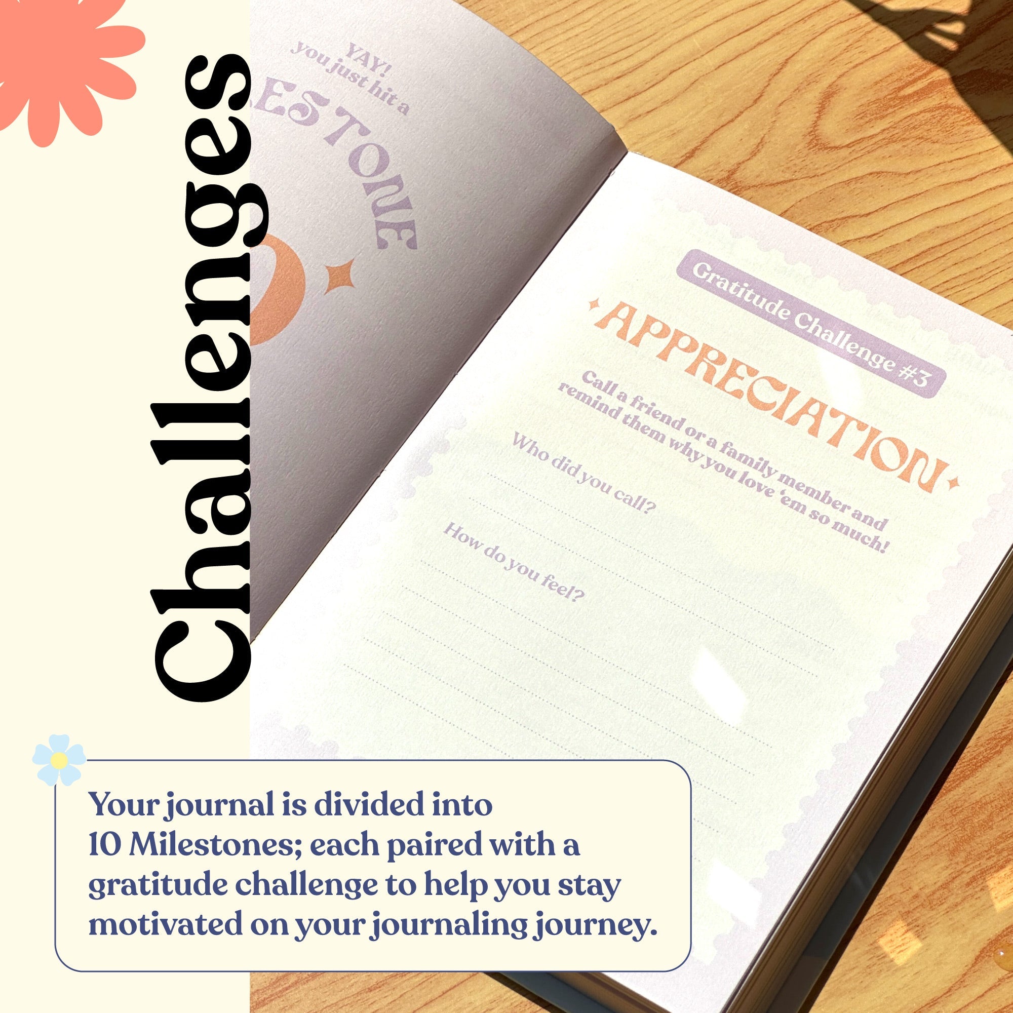 the gratitude journal