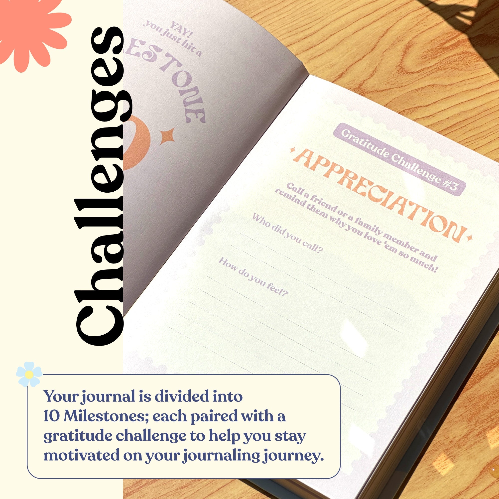Gratitude Journal | Berry Bloom - Notcoy